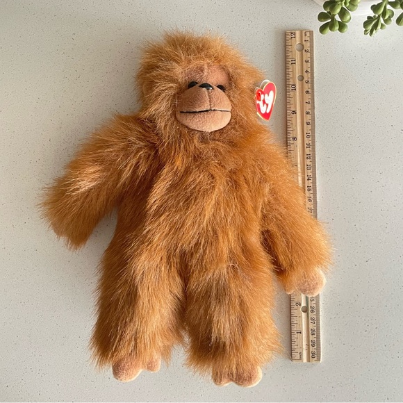 Ty Tango - Picture 6 of 9